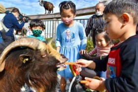 ���������Ɂu���N�ʁv ���ʂȉa�₨��������v���[���g ���ꂱ�ǂ��̍�