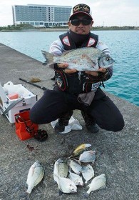 ������݃`�k�̋G�ߓ���