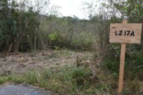 ���]�Ƀw��������V�݂� �k���P������ɊŔ� ����