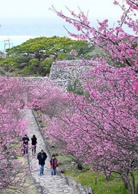 �y����z���E��Y�̍��A�m��Ƀq�J���U�N�� ���E��Y�ʂ�s���N�F