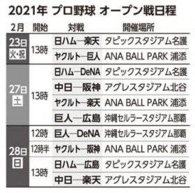 �v���싅������ăL�����v�C�� ���ϋq�ł����c�͌���SNS�⓮��z�M��\��