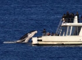 �N�W�������W�����v �k�J�E�{�鉫�A��������B�e