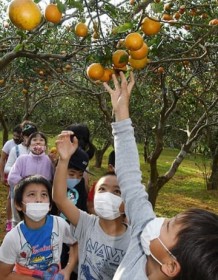 �����{!�{���Ń^���J�����̌� ��������L�΂��Ė����ł������