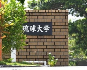 ���傪�u��Ґ�����̓~�X�A���� ���ےn��n���w����