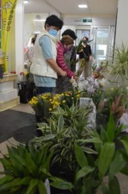 �������ݎs��ɂ��킢 �R���i�Ђ̒��A���傤������