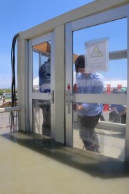 ������40cm�̐��v�Ŕ����J���Ȃ��c���Q�̕|����̌����Ă݂��@�~�J�O�̕���Ő��h���K�ɎQ���y���䍋�J20�N�z