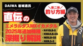 [DAIWA铧񒼓`]G_XMXCJ^V[Y2025Nǉ@[x-ނ-