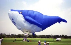 �����̂��끄�N�W���̔M�C�����ӂ��@36�N�O��7��22��