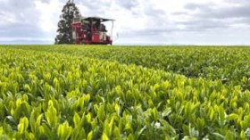 ���Ċ֐�15���u�A�o�g��v�u�Ō��ɂȂ炸�v�@���茧���̐��Y�ҁA���g��O�����Ȑ����@