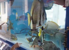 �u�������v�u�����������������v �ړ������قɎq�ǂ�������͂��Ⴌ �������C�����ق��^�c