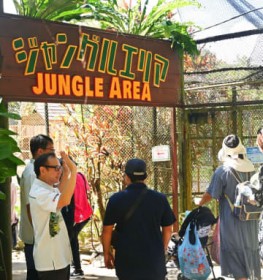 �W�����O���A����̊J�ƂŒ��ڗ��т�{���k�� �l�I�p�[�N�I�L�i�����V�G���A�I�[�v�� �A�}�]�������`�[�t�ɋߋ����œ����ώ@