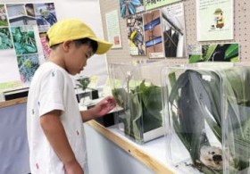 �J�}�L���ƃi�i�t�V�A�ǂ������X�S�C?���Ԃ��r����W���W ����s�����y�����ق�9��28���܂�