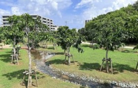 �u�^�C���X���b�v�������o�𖡂���āv �ꕶ���ォ��7000�N�ɓn����j��鍑�j�Ձu�ɗ猴��Ձv ����E�k�J�������J �ׂ̔����قŊw�K�\��