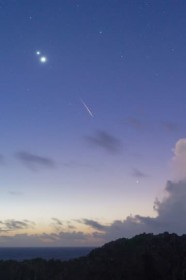 �Ă̖����ʂ�y���Z�E�X�������Q�������E�ؐ��Ƌ��� ����Ńs�[�N�A�ӌ˖��œV�̃V���[ ���ꐯ�͂��傤13����ɂ�