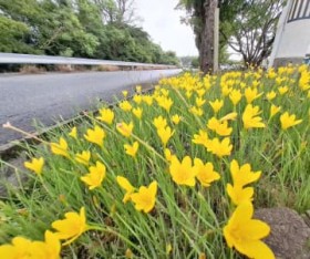 ���F���� ����N�₩ �L�o�i�T�t�������h�L