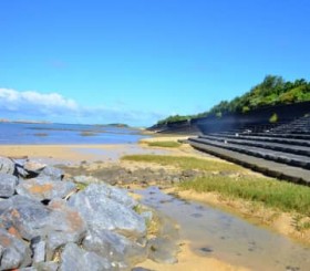 �u���R���v���{�����Z���X�p�C���A�E�Q�J��Ԃ� ����E�v�ē��� �ʉ��������8��20���ɂ͈��7�l�S�E