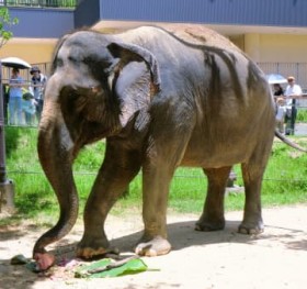 �u�]�E���A�C�X��H�ׂ�Ȃ�āv6�Ύ����� �ׂ��������ĐH�ׂ�p�Ɋ��� ���ꂱ�ǂ��̍��Łu�A�C�X�Ղ�v