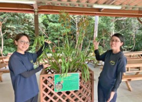 ���E�ő�̃�����3�N�Ԃ�ɊJ�ԁA���O�́u�^�C�K�[�v ����E����܎s�́u�r�I�X�̋u�v