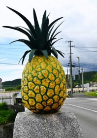 �ǂ��ɏ�����? ����1���[�g���̃p�C���̃I�u�W�F �{���g�ŌŒ肵�Ă������c���Y�n�̉���E�����u��񋁂ށv