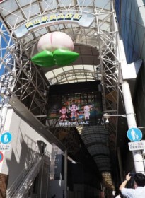 ���R�w�O���X�X�ɓd�q�Ŕ@�s��PR�������CM����