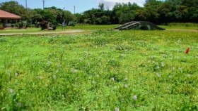 �r�𖄂ߐs�����O������ �R�C���_���ő�ʎ� ����1m���A����ł��� ����s�E�������^������