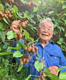 �u�����A�����v�Ƃ����Ɏ��苻���C�� ����E����s�̖��ƂŃV�}�T���i�V