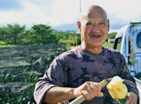 [����days]���Ńp�C���ނ��u����l�v ���������g