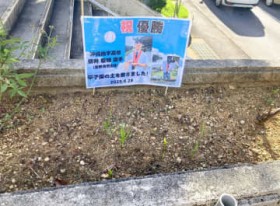 [����days]�b�q���̓y���܂����Ԓd ����E�X��p�s