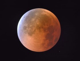 ���΂�̖��Ɂu�ԍ������v �ʐ^�ƃR�N���[������u�F�����H�v�B�e�ɐ��� ����E������