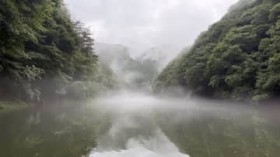 10�N�Ԃ�̃_���ցB55cm���ɓ���H����ԁI����Ȕ鋫���܂��c���Ă���̂��c�u�T�C�Y��킸��������Ȃ��قǒނ�܂���I�v