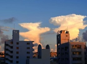 [����days]�����Ȃ��V��ɑj�܂��? �ߔe�s��