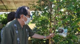 �u�h�E�̂悤�ȁu�W���{�`�J�o�v��A�{�J�h�Ȃ� �H�~�̏H�Ɏ��̂Ȃ�A������� ����s�Łu�H�̑�A�؎s�v10��26���܂�