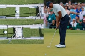 �^�C�K�[�E�E�b�Y��2m�̃p�b�g�ł��g�R������h����łĂ�̂͂Ȃ��H�@���S�Č��ł������@����g���ĉ��