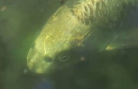 �����Ɂu�l�ʋ��v�H�@����u��̊ω��v�łЂ����Șb��Ɂc�Z�E�u�����Ă݂�΁v