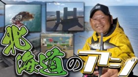 �A�W�͎��ŉ�V��������?�A�W���O�̃v�����l����k�C���̃A�W����y�����������`���[�V�z