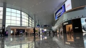 �����̒ނ莖��A�m���Ă�H �l�����̃��P�ŖK�ꂽ���{�̃v�������B�u���Ȃ萷��オ���Ă���񂾂ȂƁv