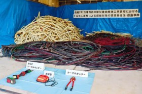 �����̗̂��ق���ޓ��@�������A�g���R�l�̒j�ߕ߁@�����P�[�u��1?�Ȃ�