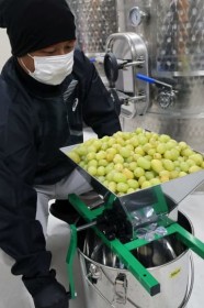 �����̓V���C���}�X�J�b�g�@�쓇���ŐV�N���C���@�A?�ʎ����A����F��󂯎s����