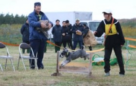 �x�@���R����u�f�R�s���v���H�@����Őΐ쌧�x�A18���Q��