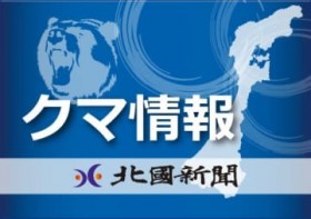 ����E�F��ŎԂƏՓˁ@1?�̃N�}����