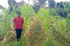 �y�^�C�z�y89���v���W�F�N�g�z�������̗́A�C��ϓ��ɑΛ��m�_���n�@�G���W�j�A�o�g�_�Ƃ��엿���v