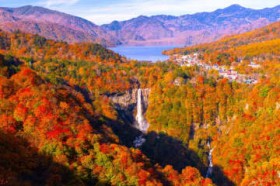 �S���n��ʁy�g�t�\�z2025�z�l�C�����̌������`�F�b�N�I�{�B�`��B�ł͕��N������x���A����������R���������R�͂��������H