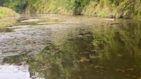 ��m�コ�񂪍���΂ցI ���̖��A�q�b�g�������A�[�͂�͂�H �u�L���O�W�~�[�w���W����D���݂����ł��v