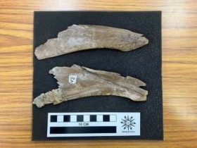 �����W�{����?�_�`���E����?�̉��Δ����@���R���ȑ�Ƌ����w������ ���{�̍��Ɗm�F