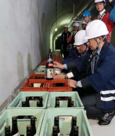 ���ΎR�̒n���ŃX���X��1�N�A���Ė��킢��?�@�����ϑ��B���ŐQ���������Ē��A���̎��o���@�����⌤���҂́g�n���h�Ɋ���