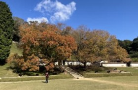 ���̖� �g�t?�c�O?�ҏ��ŐF�Â������t�@���O�E���ՒJ�w�Z