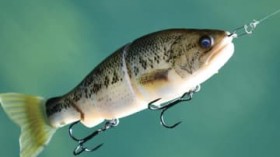 �f�ނ̕��͂����A�[��ʕ���?�w�{�[�����`�F�b�g�x�̖��͂Ƃ́H