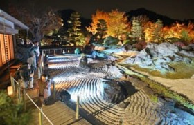 �`���ƌ����D��Ȃ��_��̐��E�@�c���k����p�قŃ��C�g�A�b�v�@����