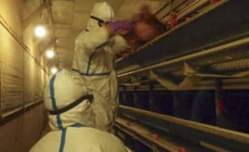 �y�Ǝ��z���C���t���h�u�ŐS�g�s���i���@20���ŐE�����k�A�x�E�⍜��