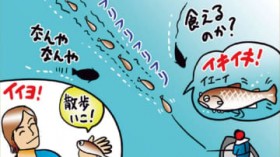 ���A�[�Ƃ��U��? �ō�����X�C���x�C�g���g�����߂̋Ɉӂ́w�y�b�g�x�ɂ���?